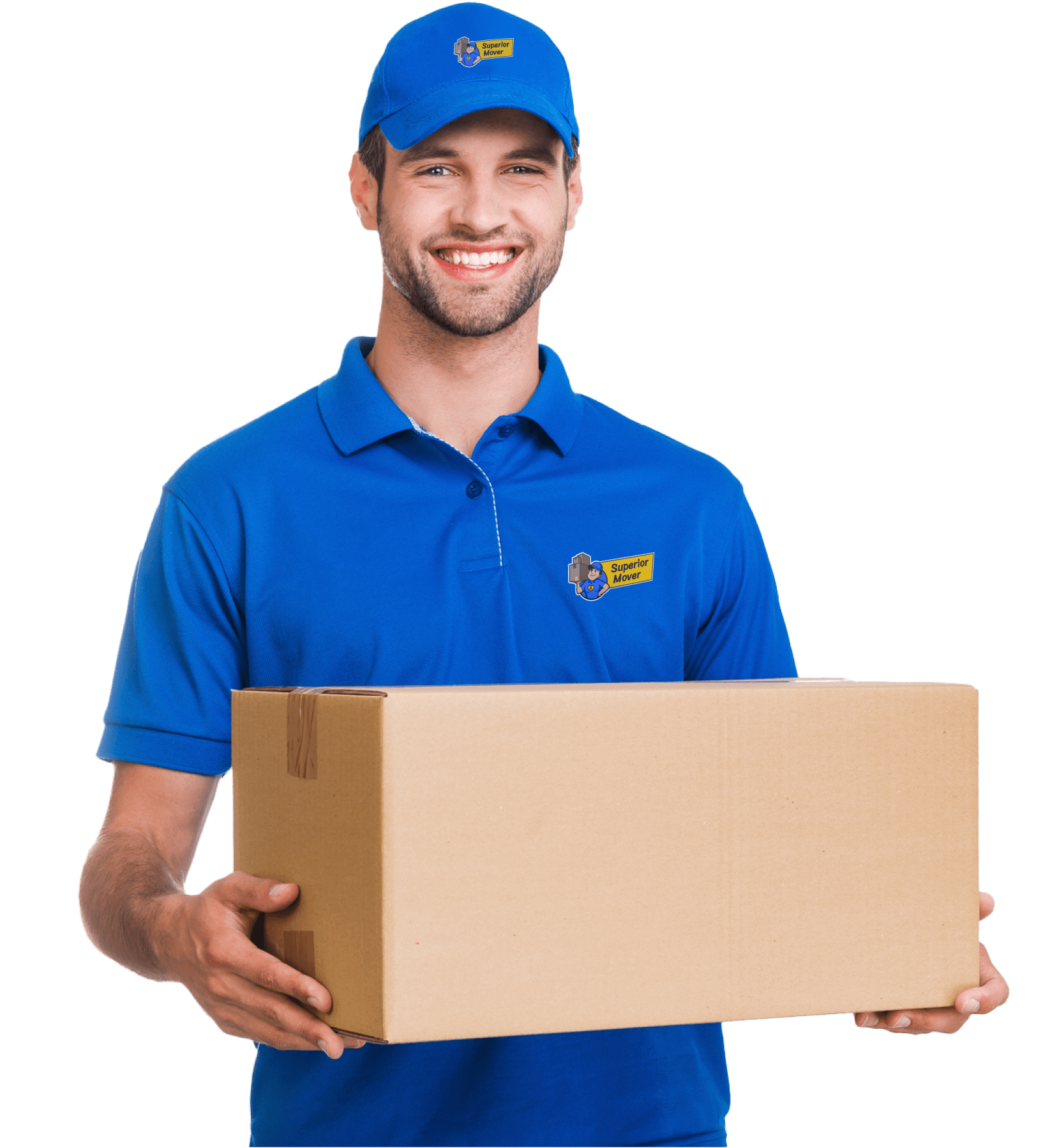 best movers north york