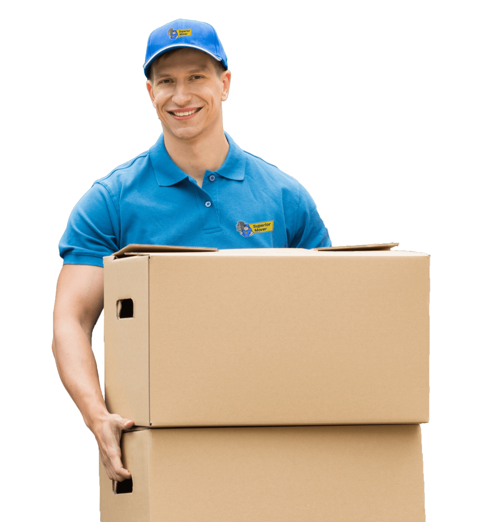 best movers newmarket